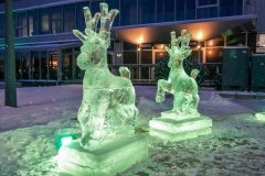 Ledo-skulpturos-2024-Marijampole-5