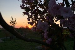 IMG_2803
