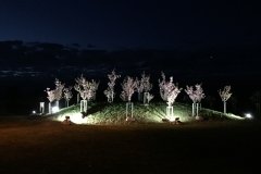IMG_2839