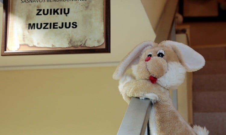 Read more about the article Museum of Rabbits