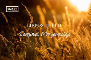Read more about the article Savaitgalio renginiai Marijampolėje | 07.11-07.14