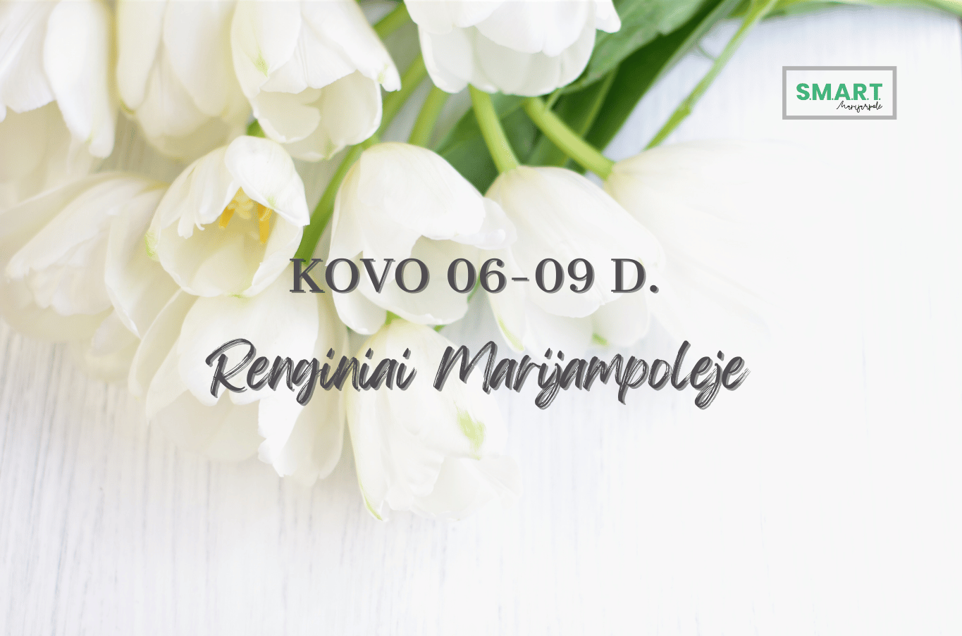 You are currently viewing Savaitgalio renginiai Marijampolėje | 03.06-03.09