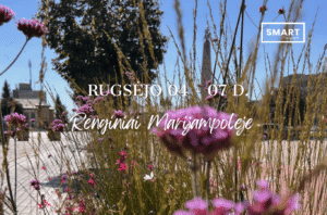 Read more about the article Savaitgalio renginiai Marijampolėje | 09.04-09.07