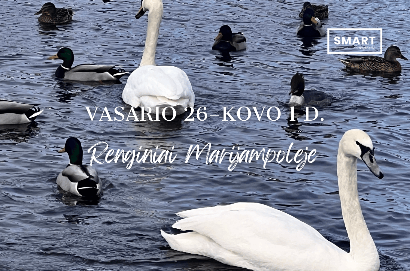 You are currently viewing Savaitgalio renginiai Marijampolėje | 02.26-03.01