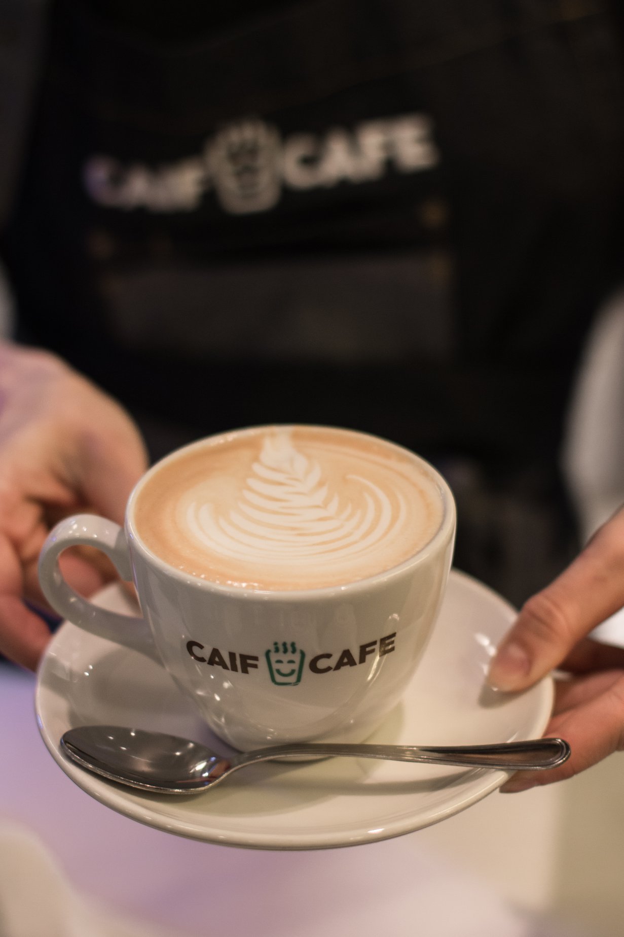 Read more about the article Caif cafe
