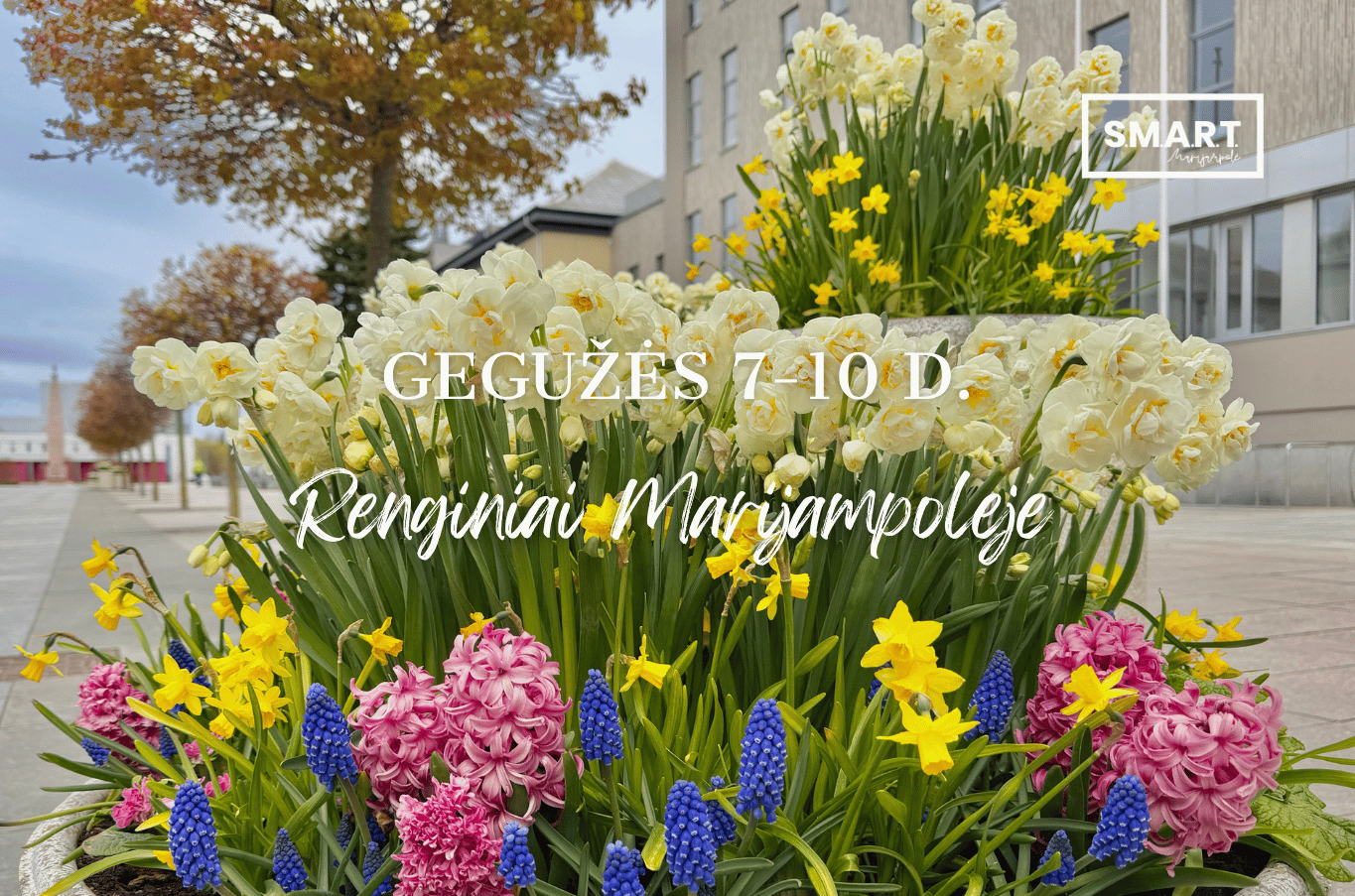 You are currently viewing Savaitgalio renginiai Marijampolėje | 05.07-05.10