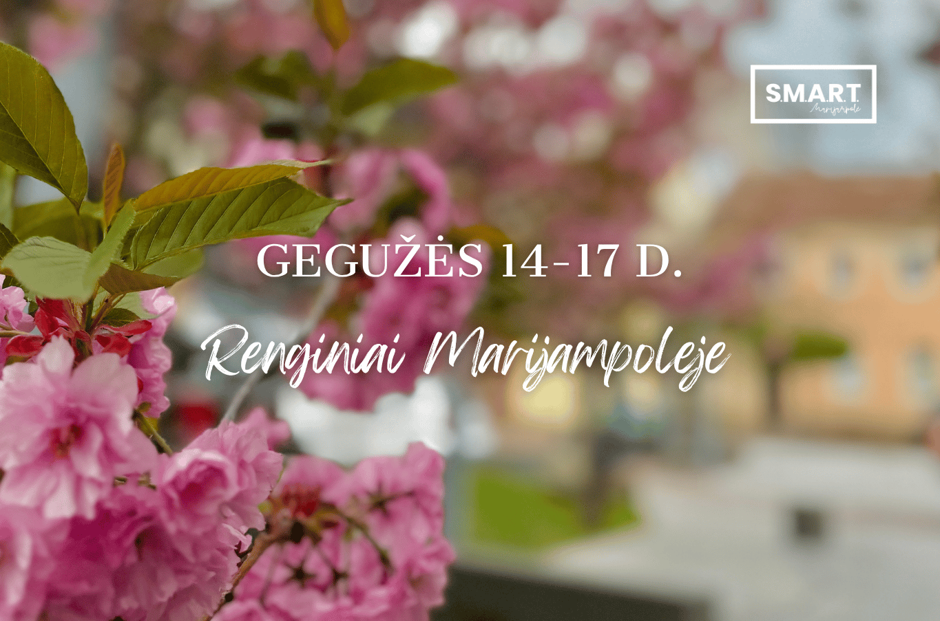 Read more about the article Savaitgalio renginiai Marijampolėje | 05.14-05.17