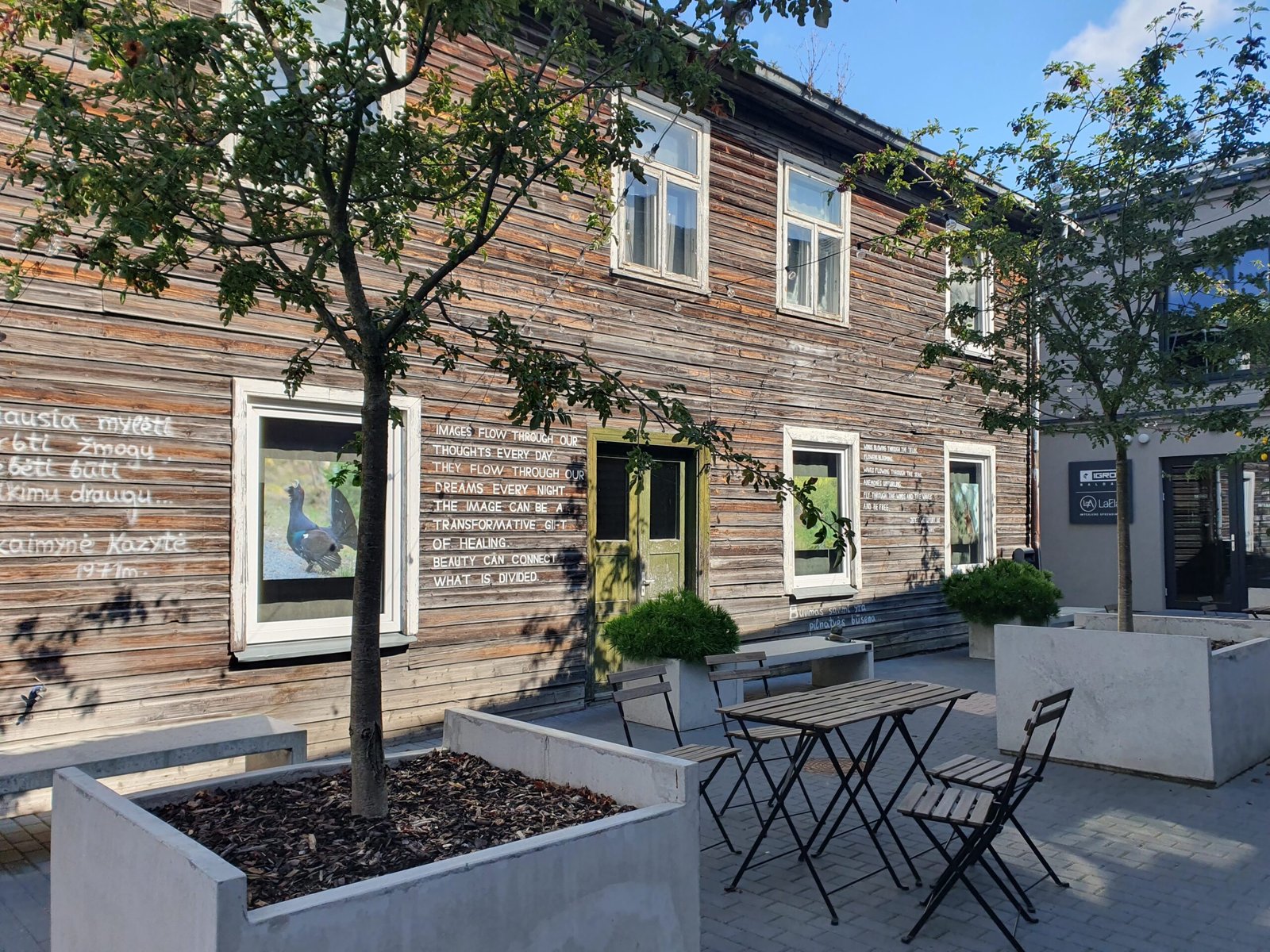 Read more about the article Gediminas passage