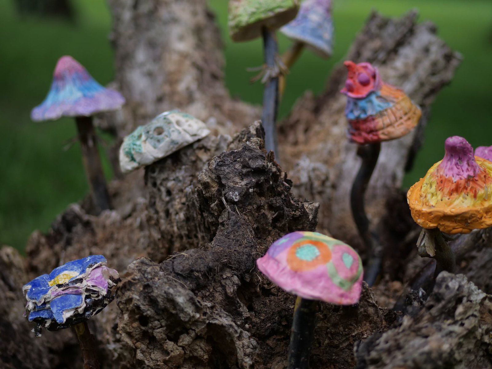 Read more about the article Žemės meno pleneras „L’e art de la terre“
