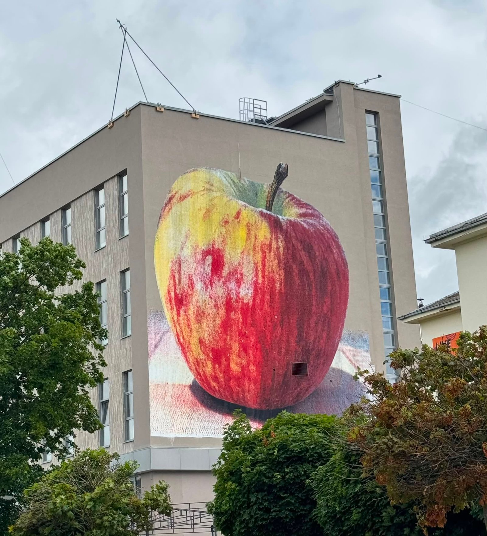 Read more about the article Apple (Malonny 13)