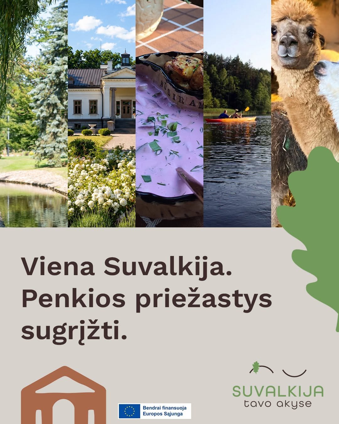 You are currently viewing Viena Suvalkija. Penkios priežastys sugrįžti.