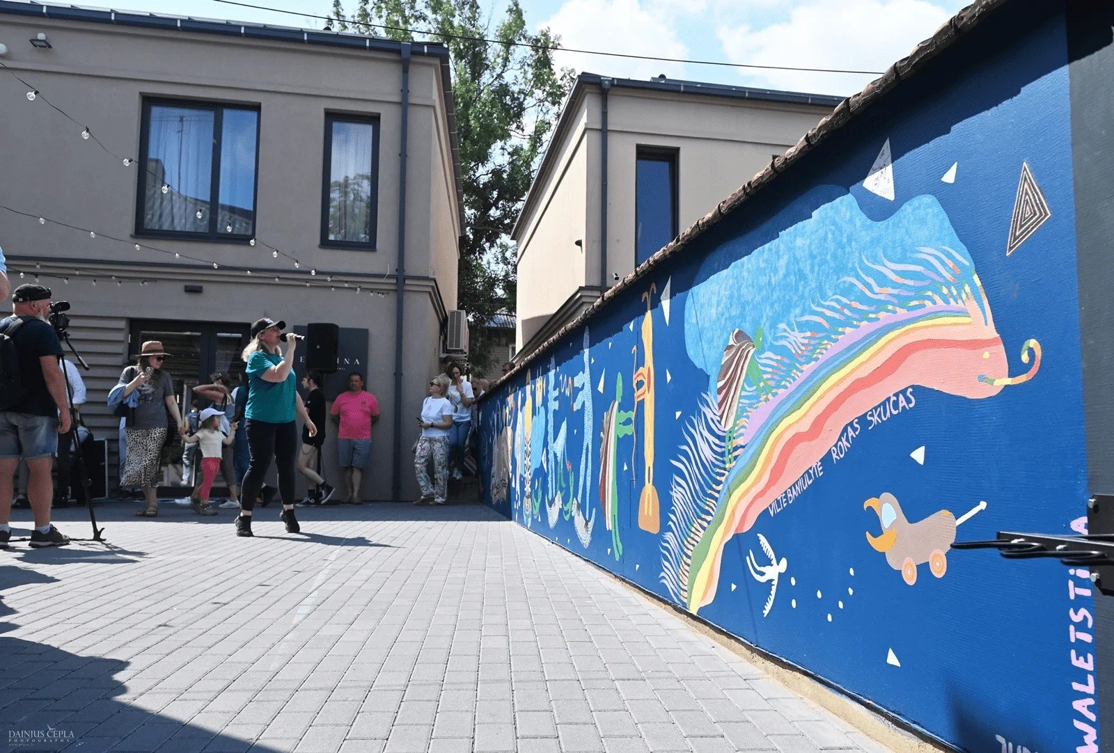 Read more about the article Little Frog’s Dreamland (Malonny 11)