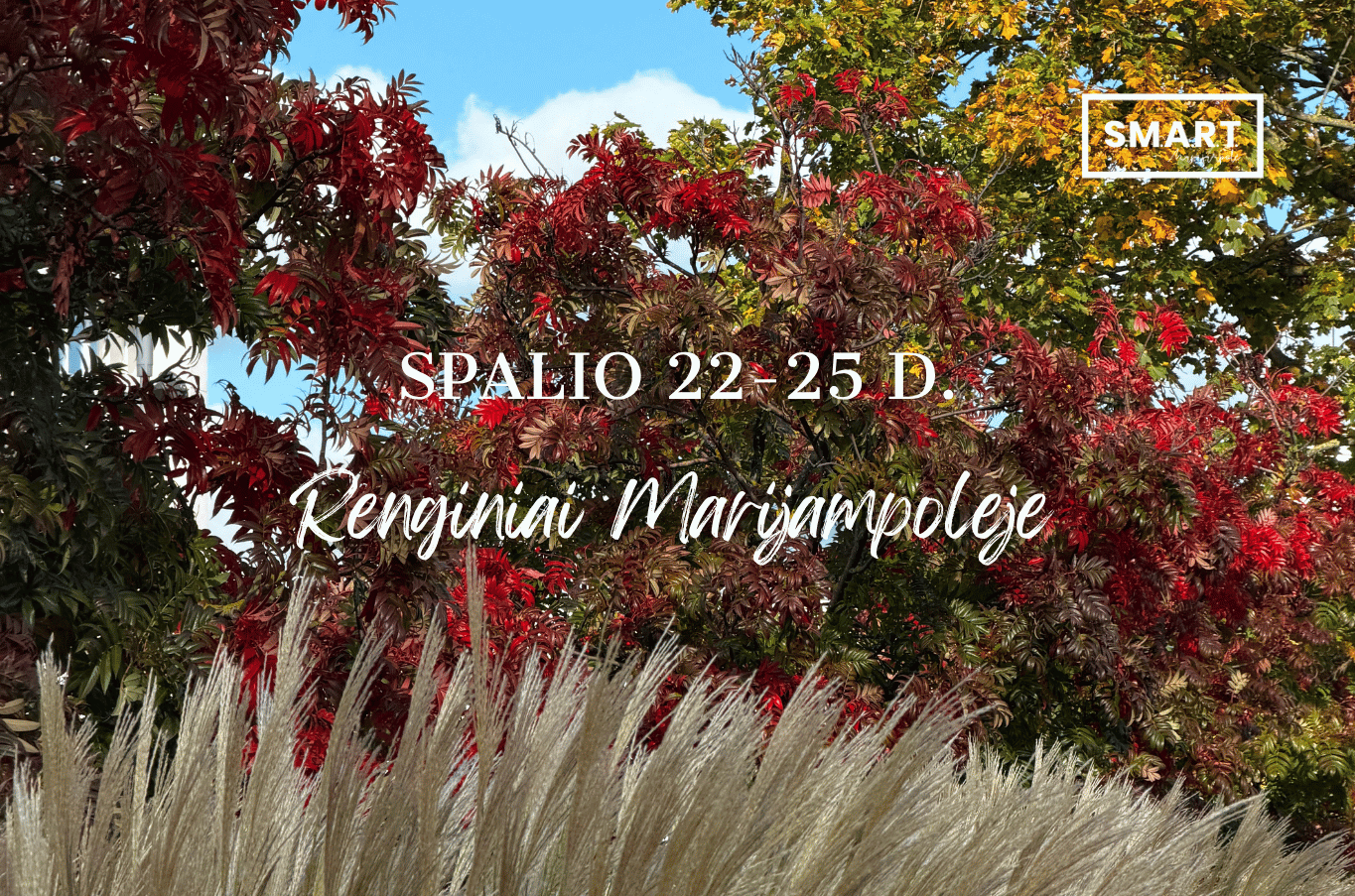You are currently viewing Savaitgalio renginiai Marijampolėje | 10.22-10.25